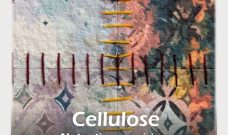 Vendredi 29 novembre à 18h30 : Vernissage de l’exposition « Cellulose » de Natacha David