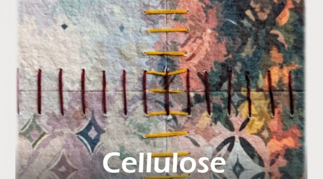 Vendredi 29 novembre à 18h30 : Vernissage de l’exposition « Cellulose » de Natacha David